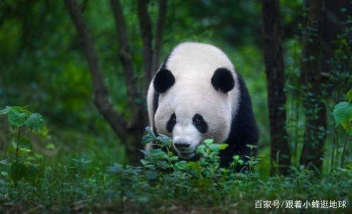第一章：初入雨城， 心情湿漉漉的