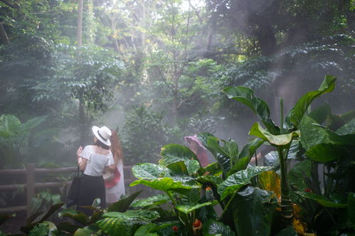 植物园：仙人掌扎死人