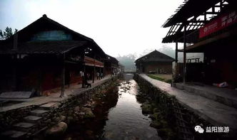 茶马古道：禅意茶香
