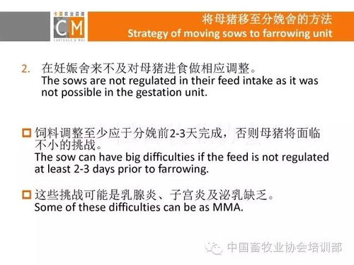 情感噪音：那一些无法言说的感受