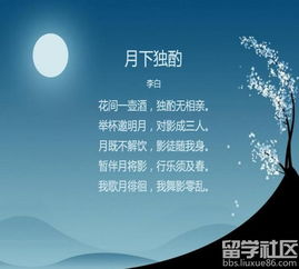 生肖运势的大反转