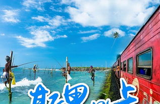 你可以在海口的游泳俱乐部、社交媒体群组或者本地的活动平台上找到游泳搭子,很多人会在这些地方发布自己的游泳计划和寻找搭子的需求。