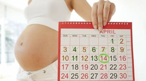 2026年7月有哪些吉日适合分娩？