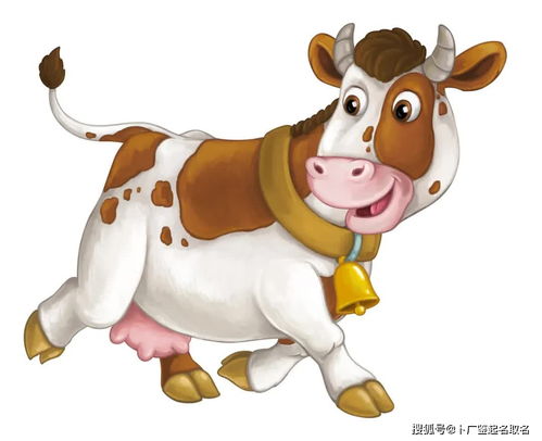 先来一波