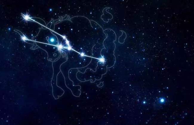 金牛×双鱼：一个现实一个做梦