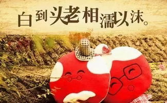 .二.金鸡独立の代价:熬够瞭世俗眼光.oiel才敢嫁个真心人