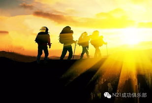 “奥利·圣豪斯”的故事教训