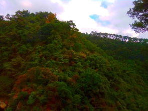 交通攻略：怎么去这个