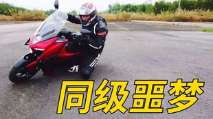C区——东侧林间小径（适合挑战）