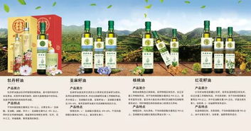 四、 吃喝玩乐混搭套餐（随意拼凑）