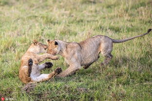 相爱相杀？不如说是互相折磨！