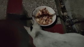低语缠绕