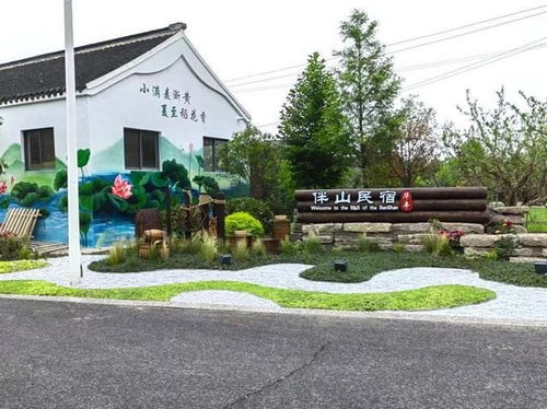 华丰村：一趟不太寻常的农村奇遇记