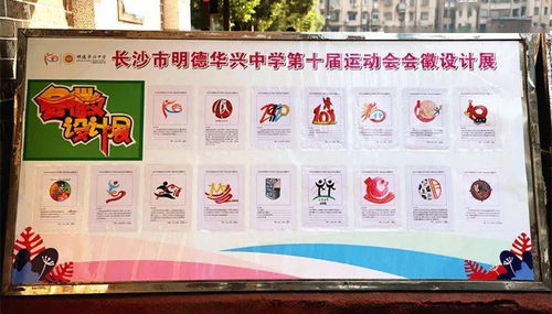 3）团队协作——八仙过海还是十全十美？
