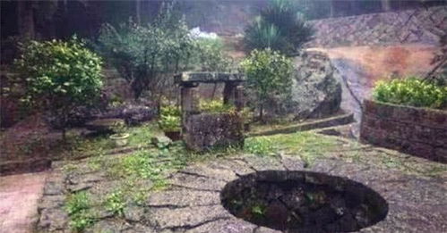 第一章：月黑风高夜， 古井旁的玄机初现