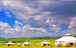 左顾右盼：不经意间的惊喜