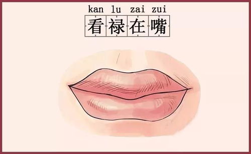 面相上，上嘴唇薄下嘴唇薄的女人比例大吗？