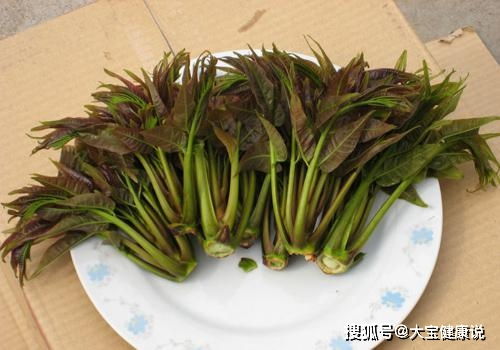 吃春菜：那股子青草香味儿简直醉人!