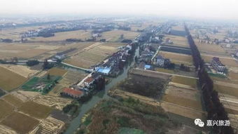 二、路线：定兴至衡水的美丽旅程