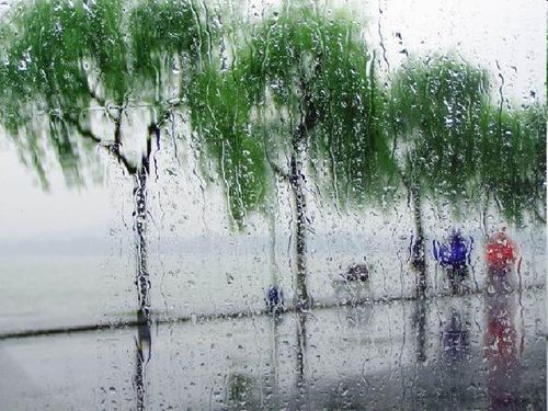 第二章：雨后秘密的五行解析