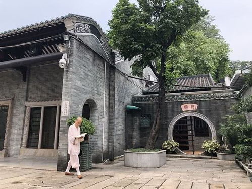 一、 从雁塔寺到茶山镇——僧人种茶的“意外”