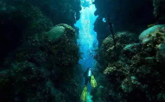 美人鱼出现的地点