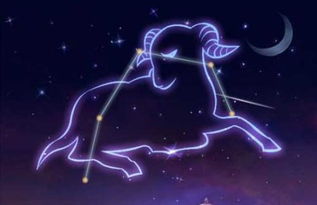 当暴躁虎遇上绵羊秤：一场鸡飞狗跳的星座大乱斗