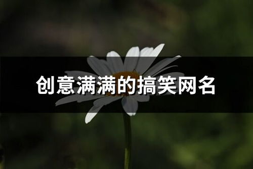 二、 星座的情感密码——从白羊到双鱼的较大地震荡