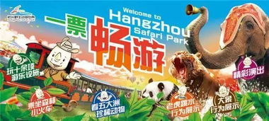 关于孩子免单政策—真实的是这样吗？不容错过的细节：