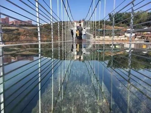 二、 五一限时开放细节（噪音+杂乱）