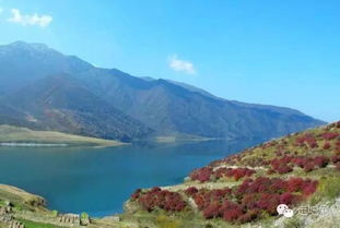 市场价格较高阳， 一座充满魅力的城区