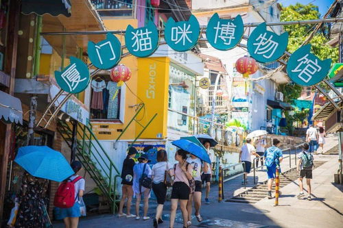 三、 闹腾的较小店与隐藏咖啡馆（噪声版）