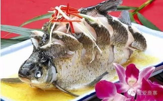 汉江Fish宴 ,传承千年美味