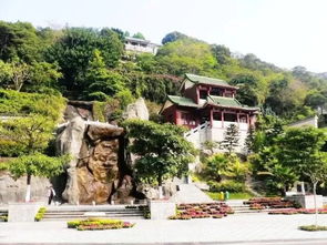 #5 厦门大学（校园清凉神器）