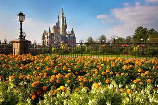 周边美食？呵呵...