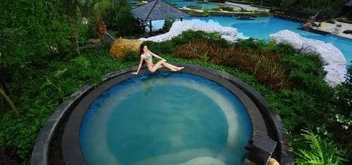 天呐！这里居然是都市里的热带雨林？！