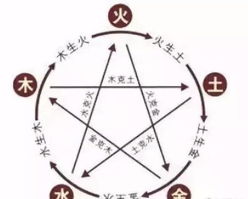 养鱼与家居风水：提升运势的保密