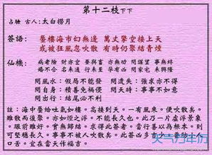 黄大仙灵签， 大型忽悠现场