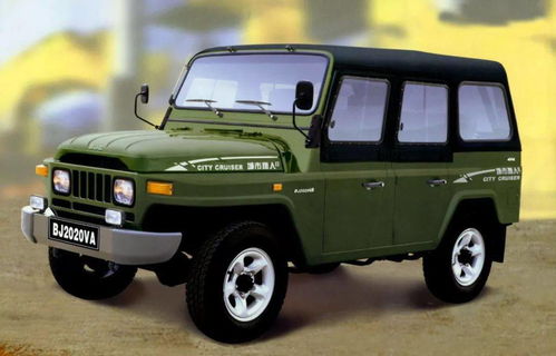 B. 属马的人怎么活？—马到成功还是马失前蹄？