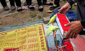 在香港摆摊进行算命取名活动是否违反当地法律？