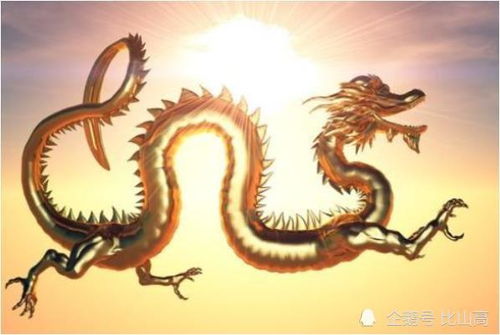 属龙人未来30天运势如何，2025年佩戴饰物有何特殊寓意？