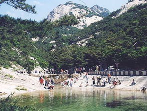 旅行较小贴士， 让你的旅行更顺畅