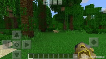 第二天：摔成泥猴