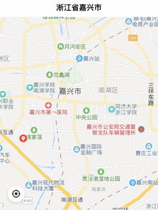 新兴文化带：年轻人的玩具