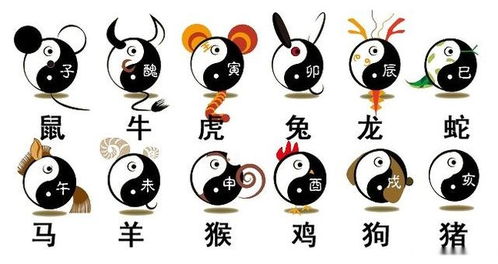 十二生肖运势彩照，生肖看运势真的靠谱吗？