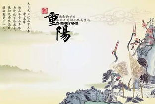 九月初九重阳节：登高赏菊，传统佳节传承千年