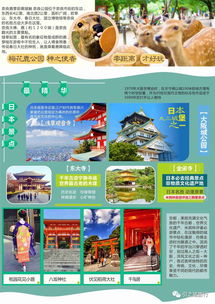 一场说走就走的亲子之旅（官方宣传）