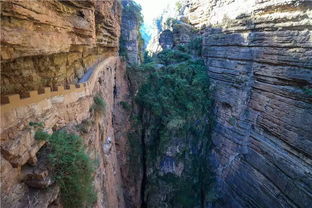 化石陈列馆：时间凝固的瞬间