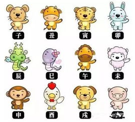 属相和命格真的能决定女生一生的命运吗？