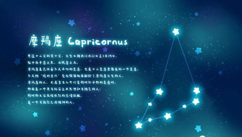 哪些星座为了取悦伴侣，愿意在生活中改变自己，从而获得更多快乐？